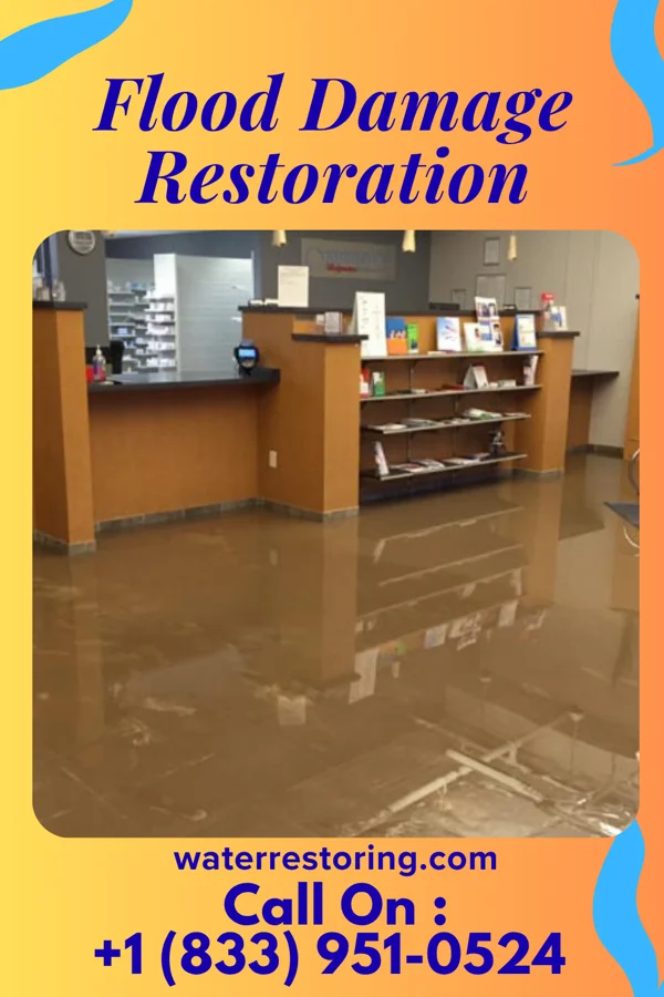 Flood Damage Restoration in Magee, MS