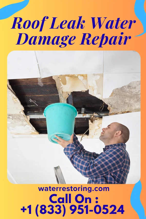Roof Leak Water Damage Repair in Magee, MS