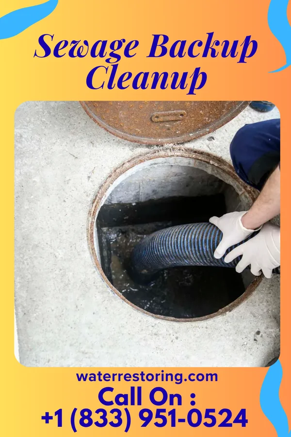 Sewage Backup Cleanup in Magee, MS